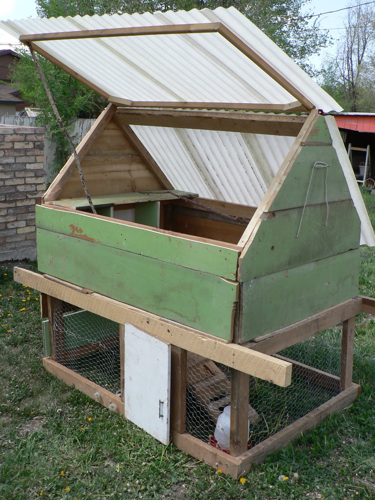 DIY Chicken Coop - P1210692