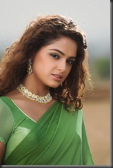 asmita in_ saree