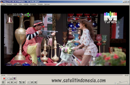 cara membuat web tv