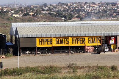 Hyper Goats