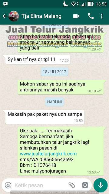 budidaya jangkrik, cara beternak jangkrik, cara budidaya jangkrik, cara ternak jangkrik, jual telur jangkrik, ternak jangkrik