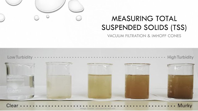 Total Suspended Solids (TSS)
