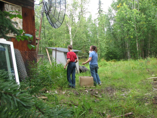 Redneck Chicken Co-op