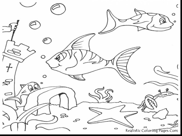 Terrific Ocean Fish Coloring Pages With Ocean Coloring Pages And Ocean Coloring  Pages To Print