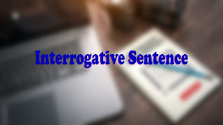 Interrogative Sentences Exercises
