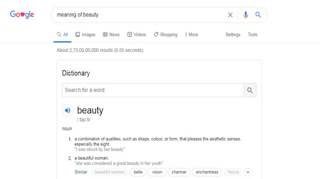 Google search result meaning of beauty 