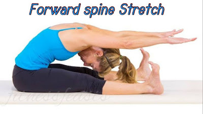 Forward Spine Stretch