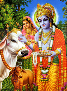 Gopashtami Festival of Cow Worship