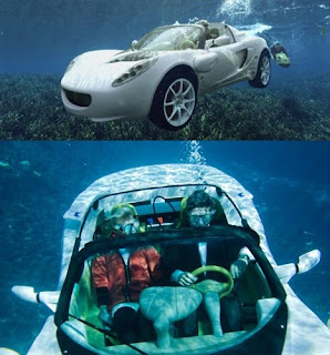 Car Diving
