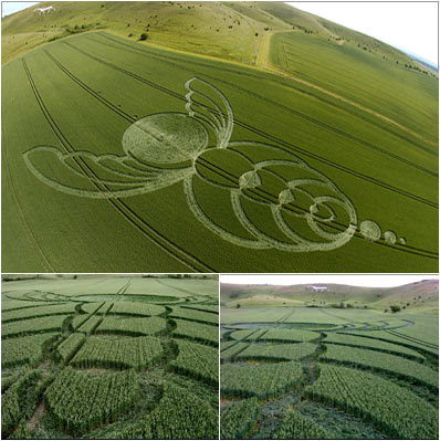 Amazing Crop Circle