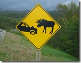 Moose Warning Sign Canada