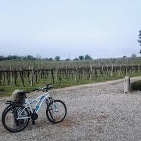 bike rental verona lake garda