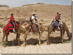 Robishaws on Camels in Petra