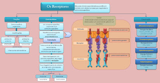 diagrama-receptor