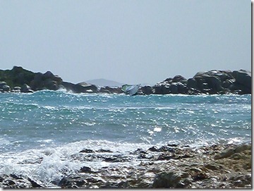 P1020553