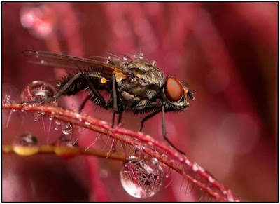 Beautiful Rain Seen On www.coolpicturegallery.us