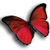 clip_image002[1]