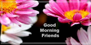 good-morning-my-friend-images,-good-morning-dear-friend-images,-good-morning-my-friend-gif,-funny-good-morning-images-for-friends,-good-morning-i-hope-you-have-a-wonderful-day,-good-morning-my-dear-friend-images,-good-morning-images-for-best-friend,-good-morning-messages-for-friends-with-pictures,-good-morning-blessings-friends,-good-morning-pictures-for-friends,-good-morning-my-sweet-friend-images,-funny-good-morning-images-for-him,-good-morning-family-and-friends-happy-wednesday,-happy-thursday-friends-images,-morning-friends-images,-good-morning-beautiful-friend-images,-good-morning-friends-happy-friday,-friend-good-morning-photo,-good-morning-my-best-friend-images,-good-morning-family-and-friends-images,-good-morning-thoughts-for-friends,-good-morning-images-for-girlfriend,-good-morning-friends-pic,-good-morning-sunday-friend,-good-morning-images-with-quotes-for-friends,-friend-love-good-morning-images,-good-morning-sweet-friend-images,-good-morning-friends-happy-sunday,-good-morning-images-for-friends-cute,-good-morning-friend-blessings,-good-morning-my-beautiful-friend-images,-good-morning-my-friend-pictures-images-and-photos,-good-morning-special-friend-images,-happy-saturday-friends-images,-happy-tuesday-friends-images,-sunday-morning-wishes-for-friends,-good-morning-messages-for-family-and-friends,-good-morning-friends-happy-saturday,-good-morning-friends-images-with-quotes,-good-morning-friends-happy-thursday,-good-morning-friends-happy-tuesday,-,-good-morning-friends-photo,-good-morning-friends-images-download,-best-friend-good-morning-images,-good-morning-images-in-marathi-for-friends,-beautiful-good-morning-friends-images,-beautiful-images-of-good-morning-friends,-cute-funny-good-morning-images-for-friends,-cute-good-morning-friends-images,-download-good-morning-friends-images,-download-images-with-quotes-of-wishing-good-morning-to-friends,-free-good-morning-friends-images,-friends-inspirational-good-morning-images-with-quotes,-funny-good-morning-friends-images,-garden-of-friends-good-morning-images,-good-morning-all-friends-hd-images,-good-morning-all-friends-images,-good-morning-all-my-friends-images,-good-morning-all-of-you-friends-images,-good-morning-and-good-night-images-for-friends,-good-morning-blessings-friends-images,-good-morning-crazy-friends-images,-good-morning-family-and-friends-images-and-quotes,-good-morning-family-and-friends-quotes-and-images,-good-morning-friends-&-family-images,-good-morning-friends-and-family-happy-saturday-quotes-images,-good-morning-friends-animated-images,-good-morning-friends-baby-images,-good-morning-friends-beautiful-images,-good-morning-friends-cartoon-images,-good-morning-friends-christmas-images,-good-morning-friends-coffee-images,-good-morning-friends-coffee-pics,-good-morning-friends-cute-images,-good-morning-friends-flowers-images,-good-morning-friends-forever-images,-good-morning-friends-friday-images,-good-morning-friends-full-hd-images,-good-morning-friends-funny-images,-good-morning-friends-funny-pics,-good-morning-friends-happy-monday-images,-good-morning-friends-happy-monday-images-flowers,-good-morning-friends-happy-saturday-images,-good-morning-friends-happy-sunday-images,-good-morning-friends-happy-thursday-images,-good-morning-friends-happy-tuesday-images,-good-morning-friends-happy-wednesday-images,-good-morning-friends-have-a-nice-day-images,-good-morning-friends-hd-photos-download,-good-morning-friends-heart-images,-good-morning-friends-images,-good-morning-friends-images-download-hd,-good-morning-friends-images-for-facebook,-good-morning-friends-images-for-whatsapp,-good-morning-friends-images-for-whatsapp-free-download,-good-morning-friends-images-free-download,-good-morning-friends-images-gif,-good-morning-friends-images-hd,-good-morning-friends-images-hd-download,-good-morning-friends-images-in-hd,-good-morning-friends-images-joy,-good-morning-friends-images-jpg,-good-morning-friends-images-quotes,-good-morning-friends-images-share-chat,-good-morning-friends-images-shayari,-good-morning-friends-images-with-flowers,-good-morning-friends-images-zip,-good-morning-friends-images-zoom,-good-morning-friends-images-zoom-meeting,-good-morning-friends-inspirational-images,-good-morning-friends-latest-images,-good-morning-friends-love-images,-good-morning-friends-monday-images,-good-morning-friends-nature-images,-good-morning-friends-new-images,-good-morning-friends-photos,-good-morning-friends-photos-download,-good-morning-friends-photos-hd,-good-morning-friends-photos-hd-download,-good-morning-friends-photos-new,-good-morning-friends-pic-hd,-good-morning-friends-pictures-download,-good-morning-friends-quotes-and-images,-good-morning-friends-quotes-and-pictures-for-facebook,-good-morning-friends-quotes-images-in-telugu,-good-morning-friends-quotes-pics,-good-morning-friends-rain-images,-good-morning-friends-rose-images,-good-morning-friends-sad-images,-good-morning-friends-saturday-images,-good-morning-friends-sunday-images,-good-morning-friends-tea-images,-good-morning-friends-telugu-photos,-good-morning-friends-thursday-images,-good-morning-friends-tuesday-images,-good-morning-friends-wednesday-images,-good-morning-friends-winter-images,-good-morning-friends-wishes-images,-good-morning-friends-with-images,-good-morning-friends-with-pictures,-good-morning-gif-images-for-friends,-good-morning-good-friends-images,-good-morning-greetings-friends-images,-good-morning-group-friends-images,-good-morning-i-love-my-facebook-friends-images,-good-morning-images-about-friends,-good-morning-images-and-quotes-for-friends,-good-morning-images-download-for-whatsapp-lover-friends,-good-morning-images-for-childhood-friend,-good-morning-images-for-friends,-good-morning-images-for-friends-cute-gif,-good-morning-images-for-friends-free-download,-good-morning-images-for-friends-hd,-good-morning-images-for-friends-in-english,-good-morning-images-for-friends-with-tea,-good-morning-images-for-my-lovely-friend,-good-morning-images-friends-shayari,-good-morning-images-in-friends,-good-morning-images-to-friends-group,-good-morning-images-with-friends,-good-morning-images-with-inspirational-quotes-for-friends,-good-morning-messages-for-friends-with-images,-good-morning-my-beautiful-friends-images,-good-morning-my-family-and-friends-images,-good-morning-my-friend-hd-images,-good-morning-my-friend-images-download,-good-morning-my-friends-happy-sunday-images,-good-morning-pic-friends-ke-liye,-good-morning-prayer-images-for-friends,-good-morning-quotes-for-friends-comments-images-in-english,-good-morning-saturday-family-and-friends-images,-good-morning-saturday-friends-images,-good-morning-school-friends-images,-good-morning-to-all-friends-images,-good-morning-to-friends-images,-good-morning-tuesday-friends-images,-good-morning-wednesday-friends-images,-good-morning-wishes-images-friend-download,-good-morning-wishes-to-friends-images,-good-morning-with-friends-images,-good-morning-yoga-images-for-friends,-good-sunday-morning-family-and-friends-images,-happy-good-morning-friends-images,-happy-sunday-good-morning-friends-images,-hd-good-morning-friends-images,-hello-friends-good-morning-images,-hi-good-morning-friends-images,-images-of-good-morning-family-and-friends,-images-of-good-morning-friends,-images-of-good-morning-friends-with-coffee,-images-of-good-morning-friends-with-flowers,-images-of-good-morning-wishes-to-friends,-latest-good-morning-friends-images,-lovely-good-morning-friends-images,-new-good-morning-friends-images,-old-friends-good-morning-images,-share-chat-good-morning-friends-images,-sunday-good-morning-friends-images,-tamil-good-morning-friends-images,-telugu-good-morning-friends-images,-very-good-morning-friends-images,-whatsapp-good-morning-friends-images