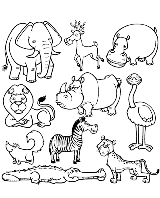 Coloring pages for all jungle animals for free