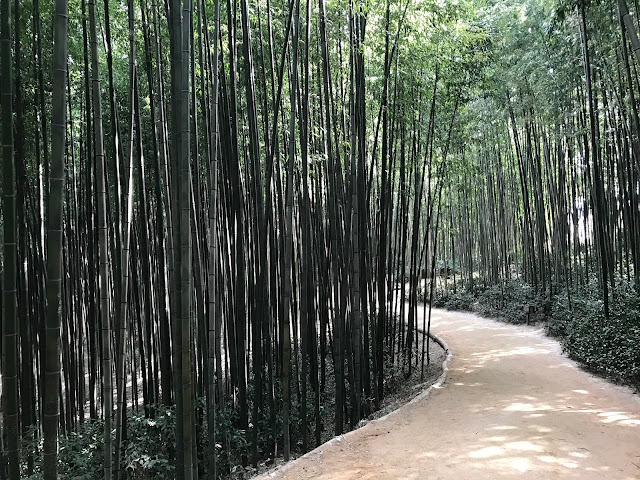 bamboo grove damyang Juknokwon