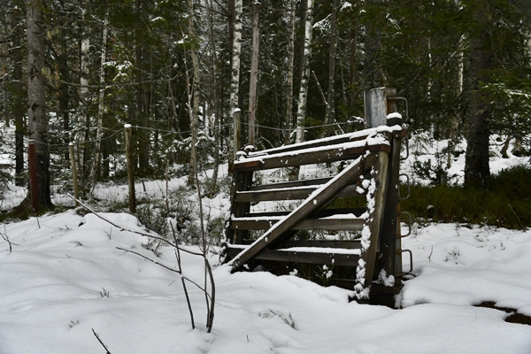 skautur i vinterland