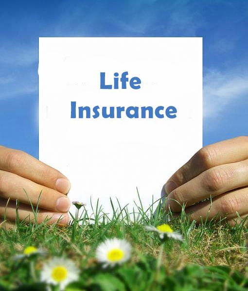 Life Insurance - Easy to Find Cheap Policies