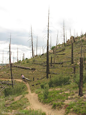 Buffalo Creek, Colorado - June 26, 2010 - Photo by Mitch Kline - www.mitchkline.com