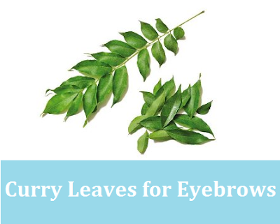 Curry leaves to get thick eye brows - Homremediestipsideas