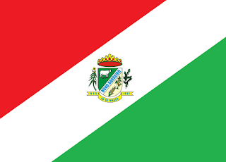 Bandeira de Novo Barreiro RS