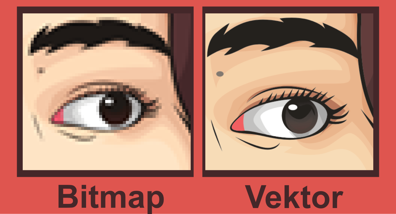 Perbedaan Vektor dan Bitmap | Vektor Kades - Freelance Graphic Designer Palembang