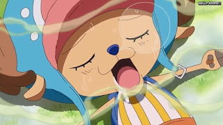 ワンピースアニメ パンクハザード編 580話 チョッパー かわいい | ONE PIECE Episode 580