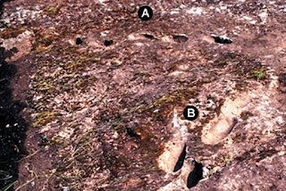  Fosil jejak kaki yang sangat langka dan informatif √ 10 Rahasia Jejak Kaki Kuno