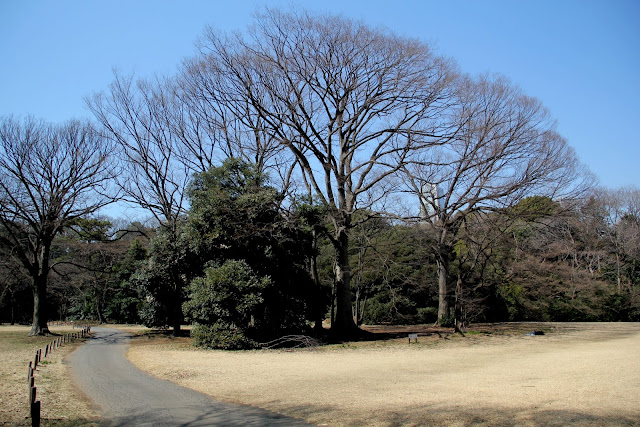 日本 東京 明治神宮