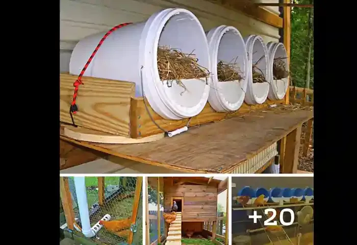 20 Surprisingly Easy Ideas for Having Chicken Coops at Home.
