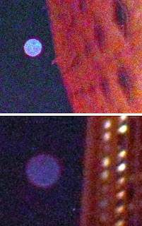 orbs in pictures