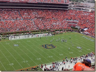 excellent view