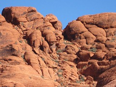 IMG_1235 IMG_1235