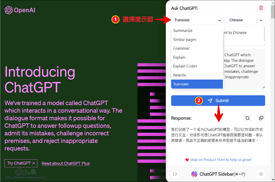 ChatGPT Sidebar 與 AI 聊天對話不用換頁和自訂常用提示詞