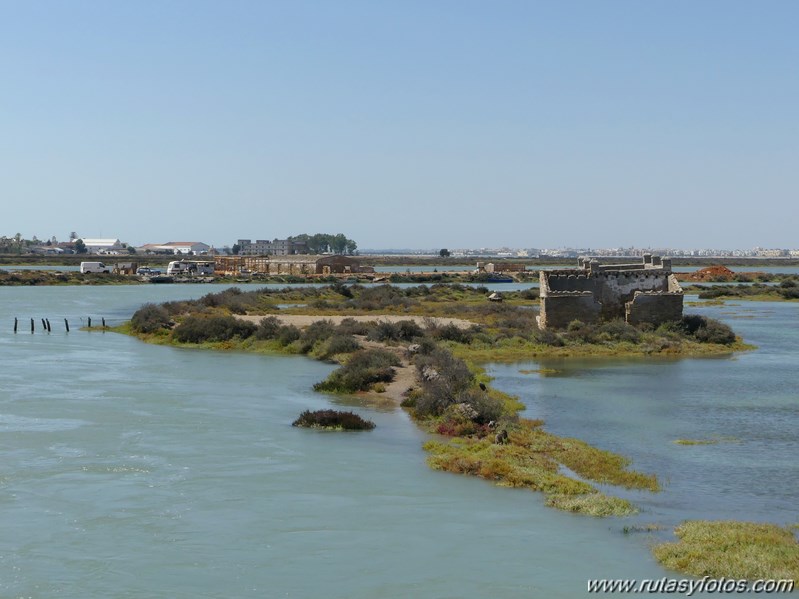 Bici Cádiz - Puerto de Santa María - Puerto Real - San Fernando - Cádiz