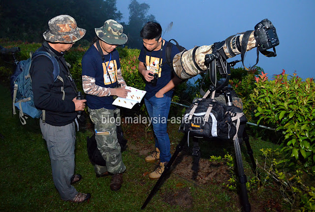 Birding at Borneo Highlands