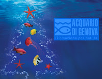 Concorso Calendario dell'Avvento 2021 Acquario di Genova : vinci gratis biglietti ingresso