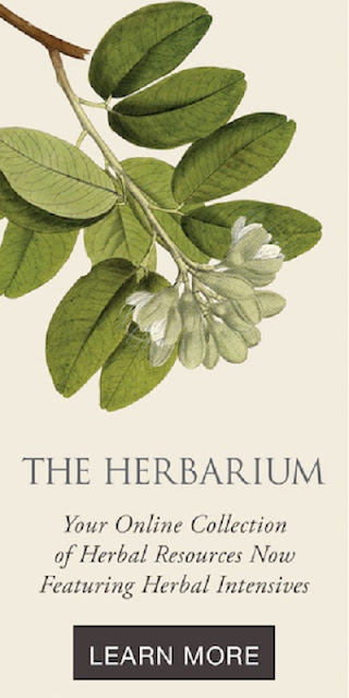 Herbarium from Herbal Academy