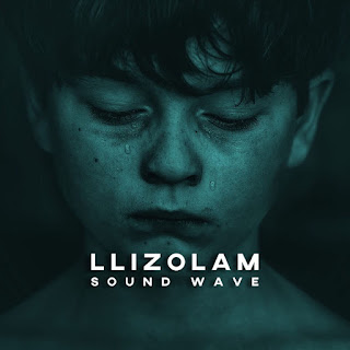 MP3 download Llizolam - Sound Wave - Single iTunes plus aac m4a mp3