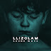 Llizolam - Sound Wave (Single) [iTunes Plus AAC M4A]