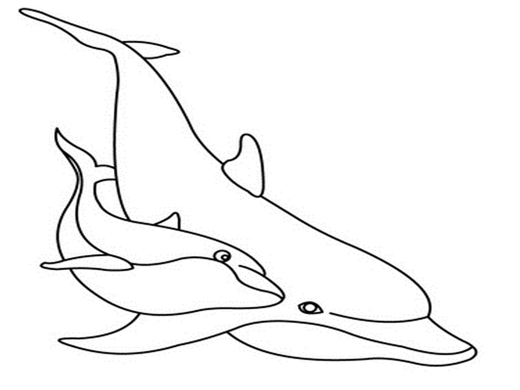 Dolphins Coloring Pages Realistic  Realistic Coloring Pages