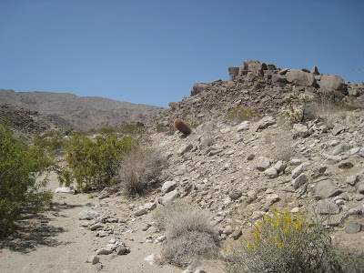 Joshua Tree National Park Barrel Cactus Contact Mine Trail