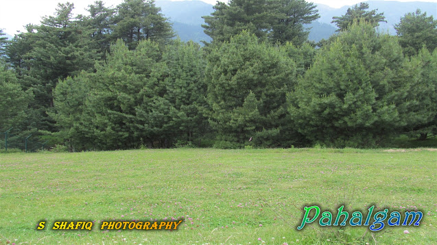 Wallpaper_Pahalgam