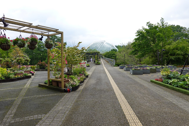 鳥取県西伯郡南部町鶴田 とっとり花回廊 エントランス展示