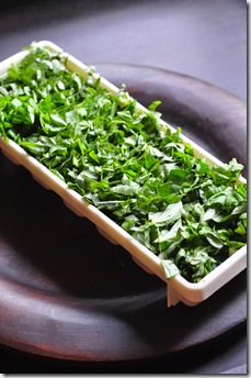 basil_tray_full