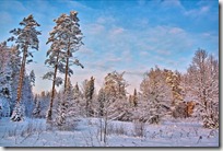paisajes nevados (98)
